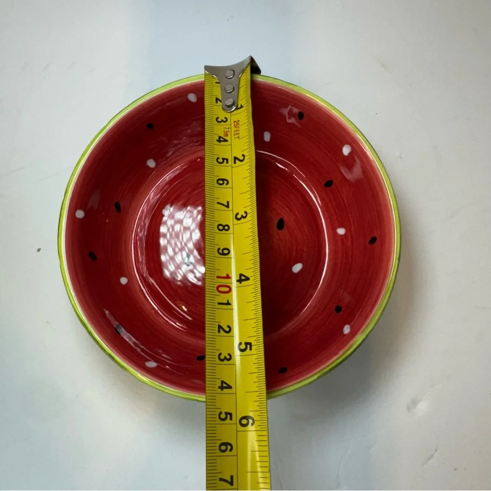 Royal Norfolk Hand Painted Watermelon Stoneware Salad Bowls‎ 5.5